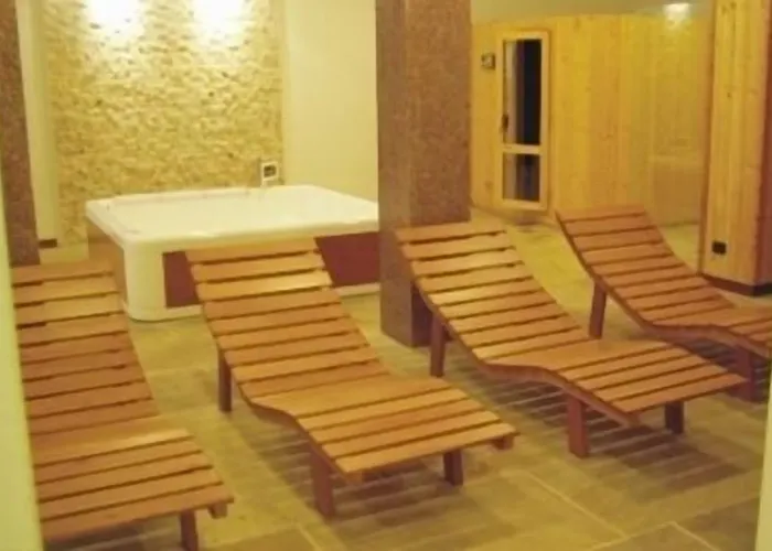 酒店 阿尔佩奇亚拉酒店 4*